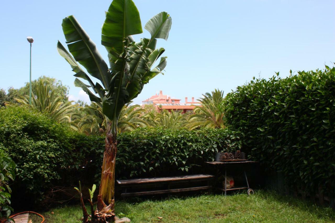 Apartamentos Con Jardin Y Pescina Πουέρτο Ντε Λα Κρουζ Εξωτερικό φωτογραφία