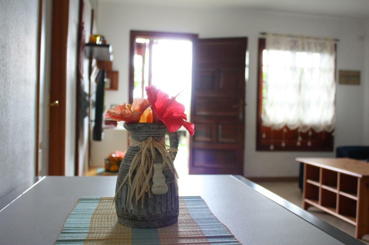 Apartamentos Con Jardin Y Pescina Πουέρτο Ντε Λα Κρουζ Εξωτερικό φωτογραφία